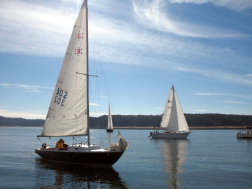 Lake Allatoona Sailing